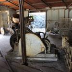 IMG_7528 (May 28, 2024)